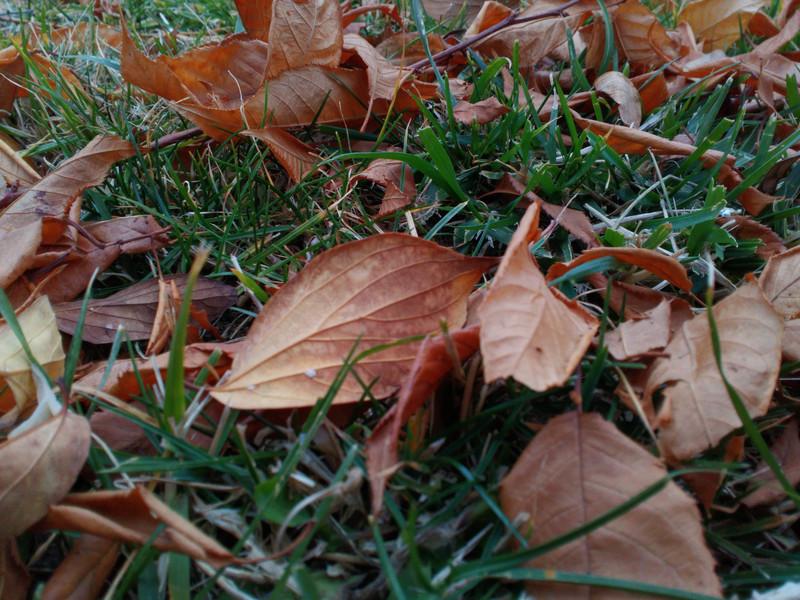 联想手机性价比巅峰：2014年乐檬K3评测