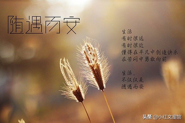 抖音里点赞量最高的爆款文案