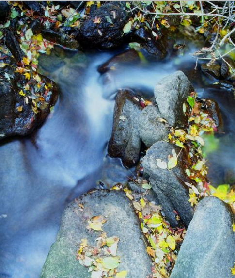 完美照片的十大经典拍摄技法