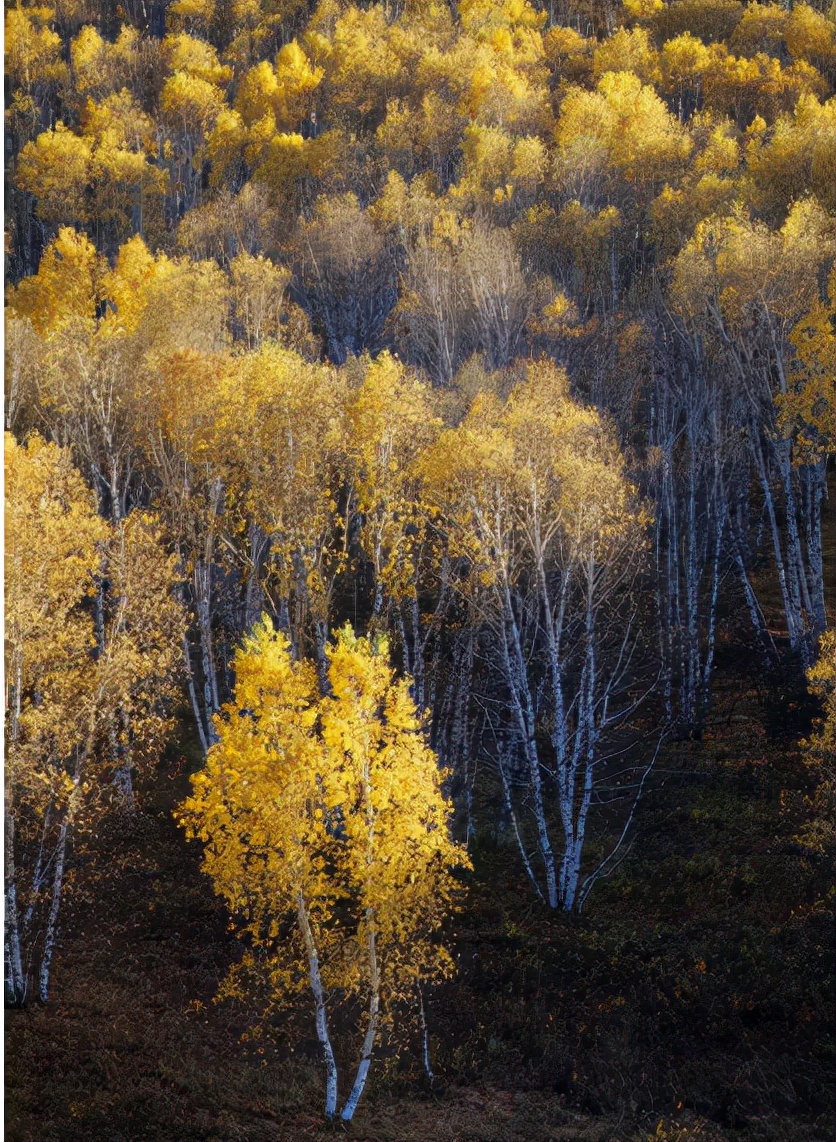 完美照片的十大经典拍摄技法