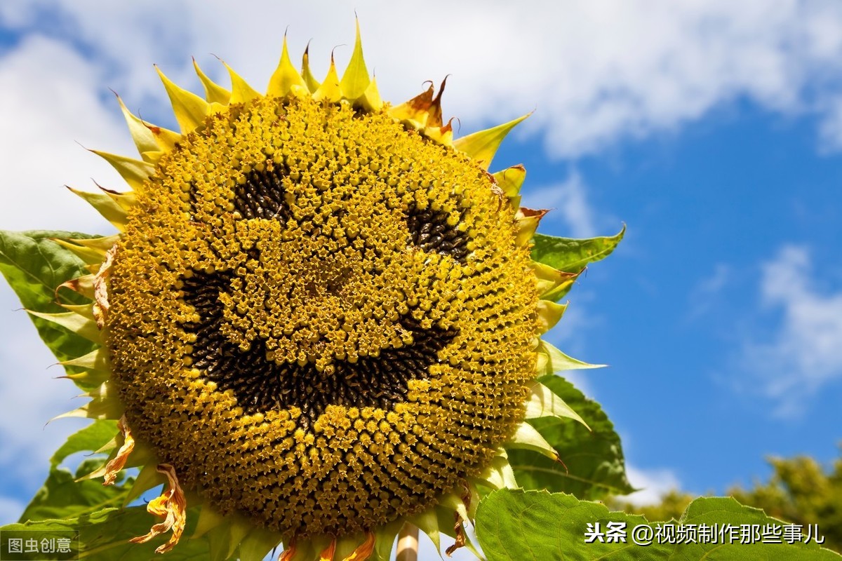 三分钟告诉你什么叫Vlog,怎样才能拍好一条好的Vlog！