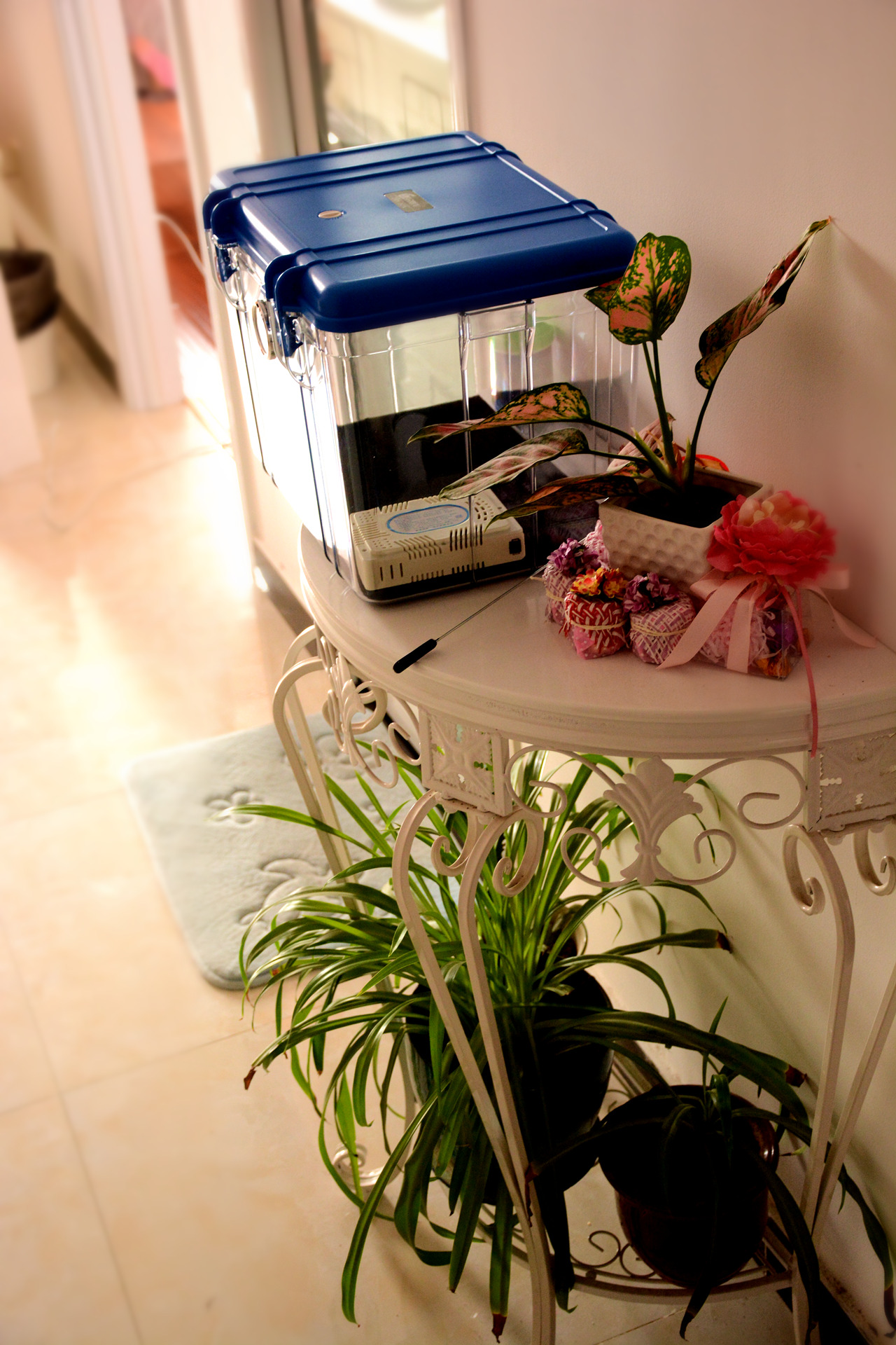 单反相机的保险箱，锐玛防潮箱体验分享