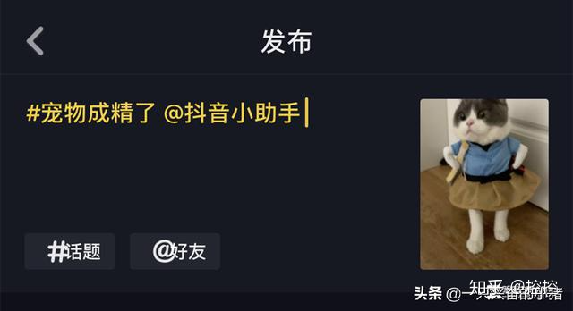 我拍抖音上热门就这么简单，哪像才几十几百流量的你们