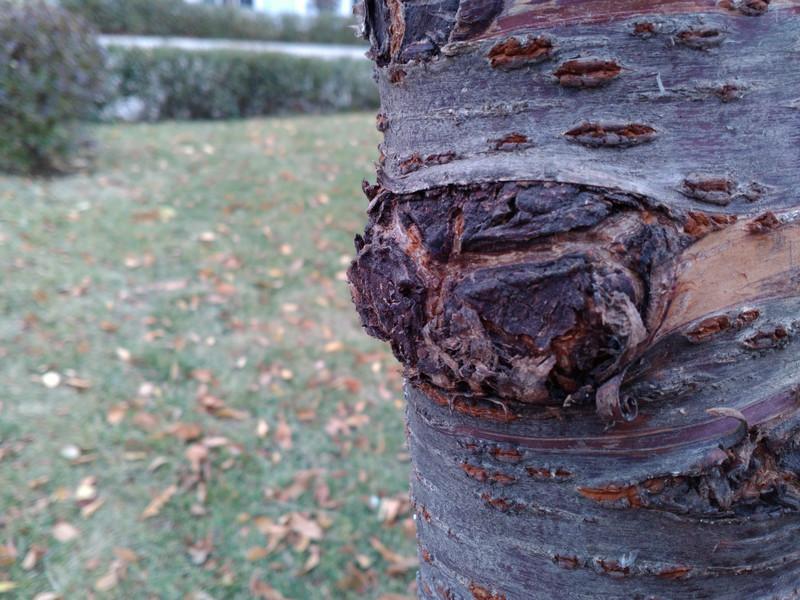 联想手机性价比巅峰：2014年乐檬K3评测