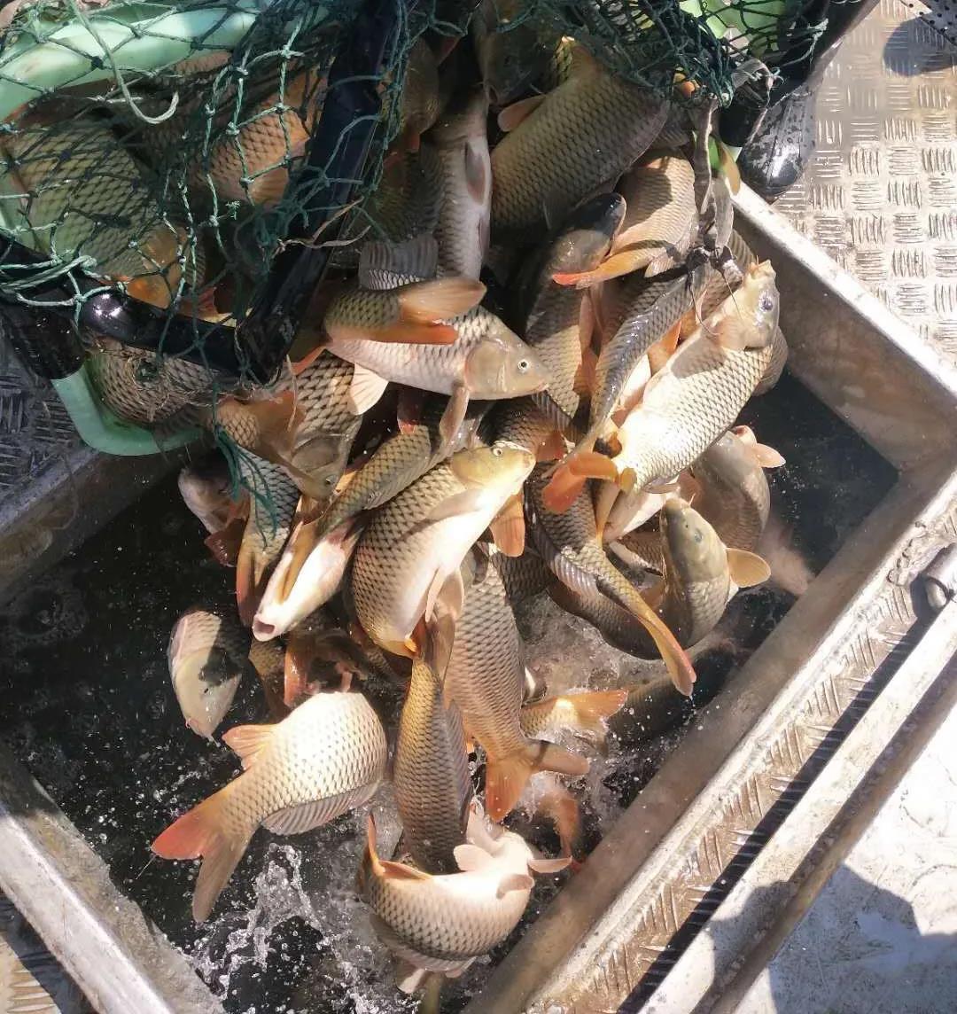 大手笔！天骄水产拿股权招商