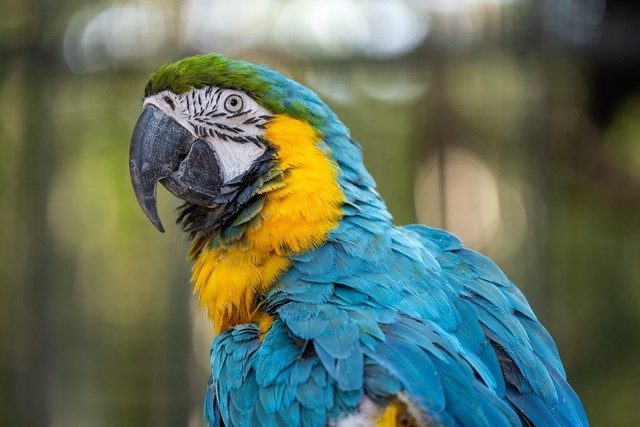 必买：高画质组合之选 尼康相机+镜头组合推荐