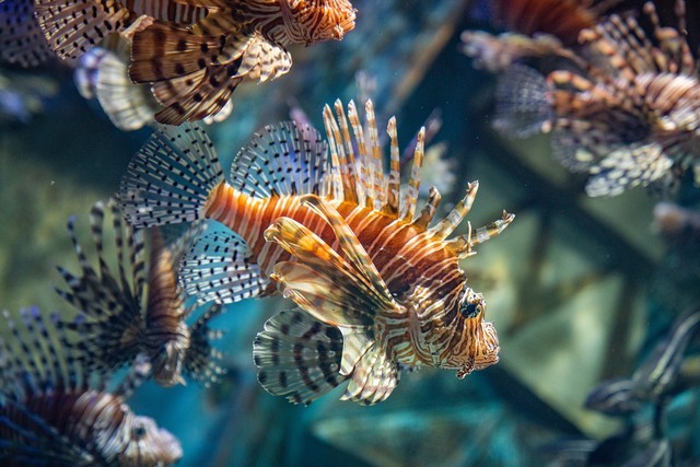 必买：高画质组合之选 尼康相机+镜头组合推荐