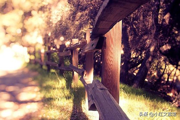 抖音里点赞量最高的爆款文案