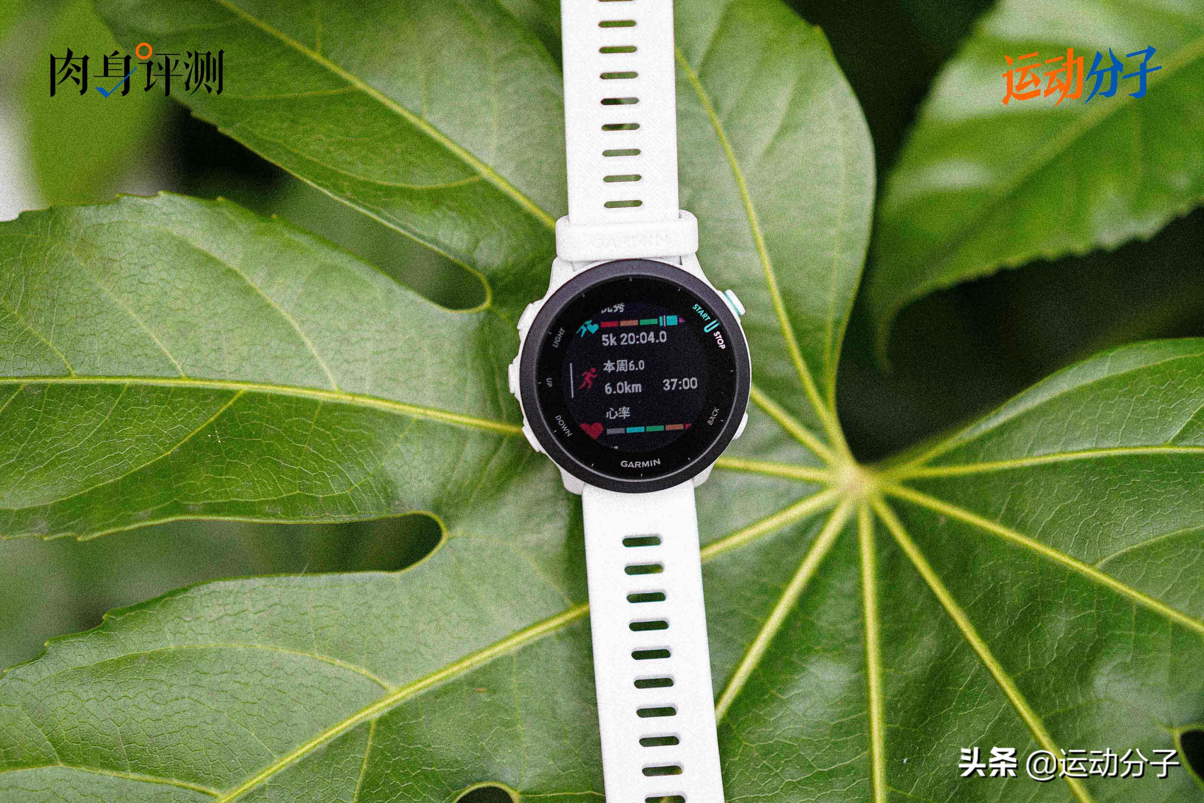 佳明Forerunner 158：跑步手表“机王”235的接班人，可靠也实在