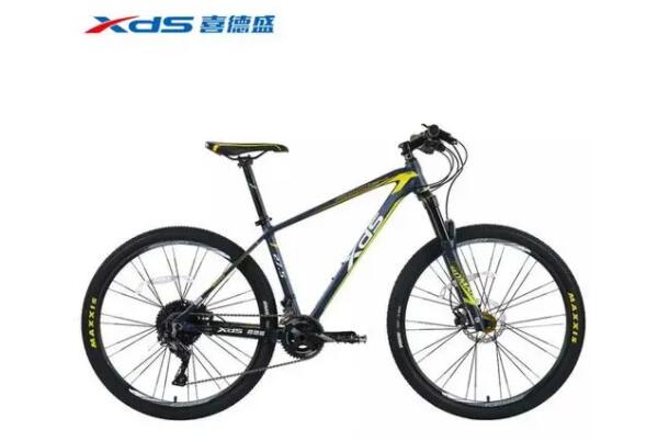 全球十大著名山地自行车品牌，闪电上榜，第四车架可享终身质保