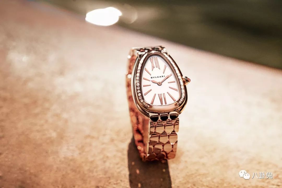 从3万到几十万，宝格丽最知名的“蛇”表又换新花样