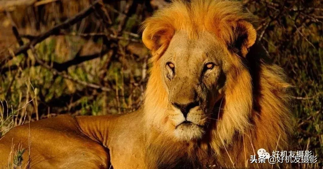 要买索尼相机，先搞懂各代M、S、R型号的区别