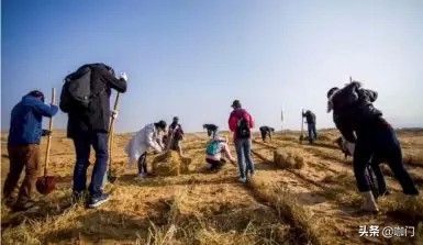 CoCo都可：最大的竞争对手是消费者的想象力