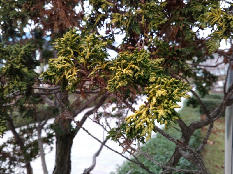 联想手机性价比巅峰：2014年乐檬K3评测