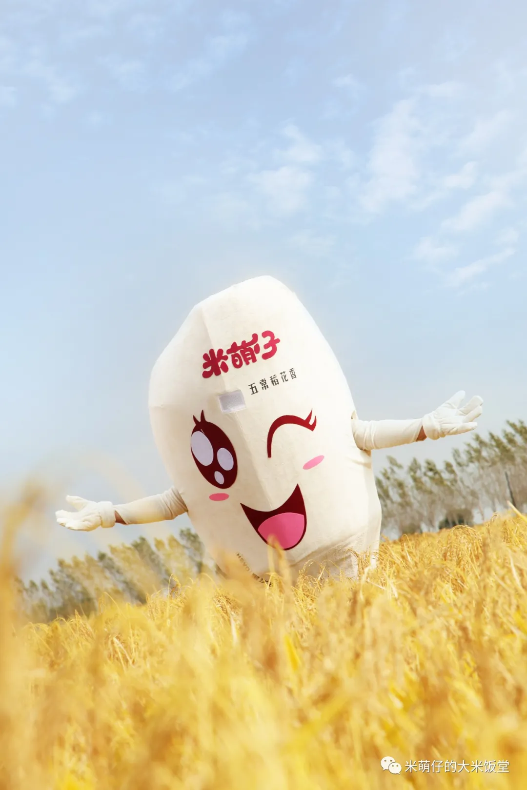 煲仔饭加盟店的注意事项之店铺选择