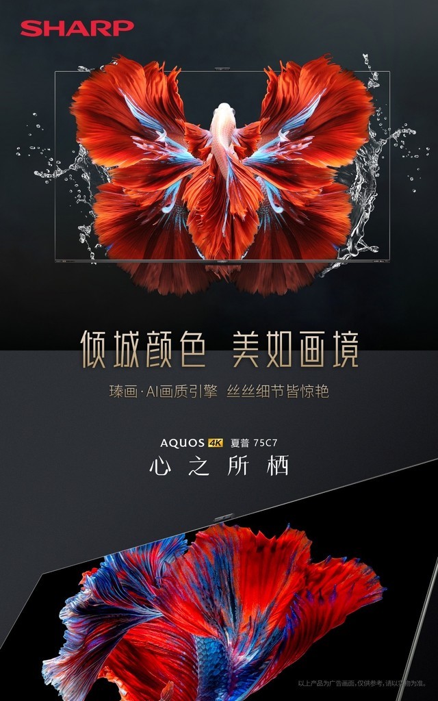 音画俱佳4K新品——夏普75C7 你身边的高质量观影利器