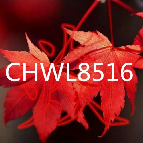 拼搏CHWL8516